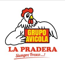 pollos la pradera